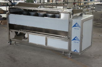 Süßkartoffel-Reinigungundschälmaschine-zwiebel-schale und schneidemaschine